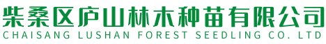 九江市東露新材料有限公司